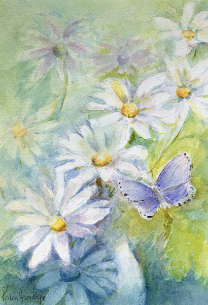 Common Blue (Polyommetus Icarus) on Daisies  de Karen  Armitage