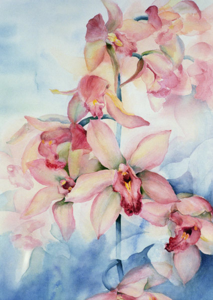 Orchid Cymbidium Ramley  de Karen  Armitage