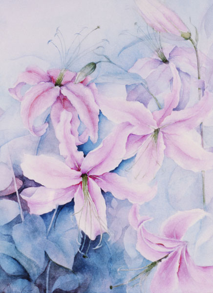 Lilies, pink Auratum  de Karen  Armitage