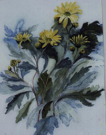 Chrysanthemum, Mary Stoker  de Karen  Armitage