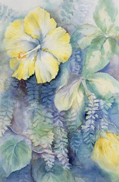Hibiscus, yellow  de Karen  Armitage