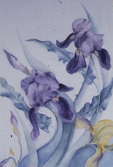 Iris, blue Mare  de Karen  Armitage