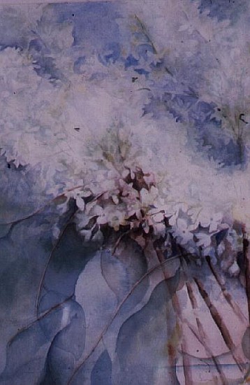Lilac, Maud Norcut  de Karen  Armitage