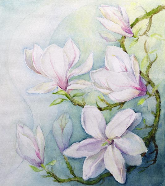 Magnolias (w/c)  de Karen  Armitage