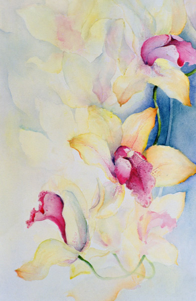 Orchid, Cymbidium, Prince Charles  de Karen  Armitage