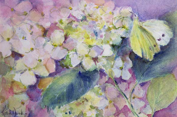 Pale Clouded Yellow Butterfly, Colias Hyale on Hydrangea  de Karen  Armitage