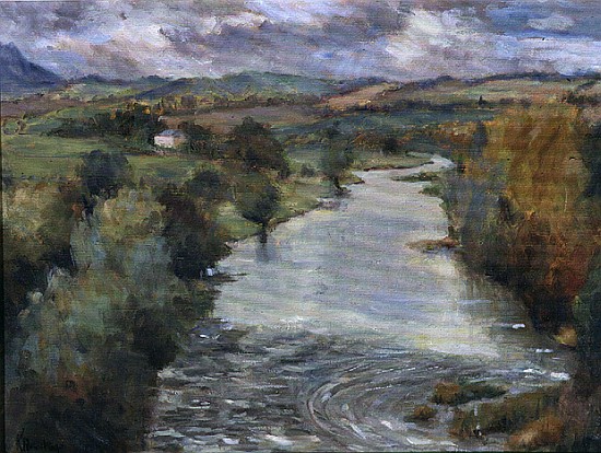 The River Tweed, Roxburghshire, 1995  de Karen  Armitage