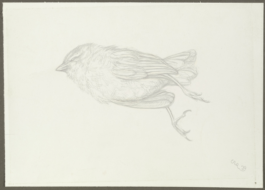 Dead bird de Karl Anton Reichel