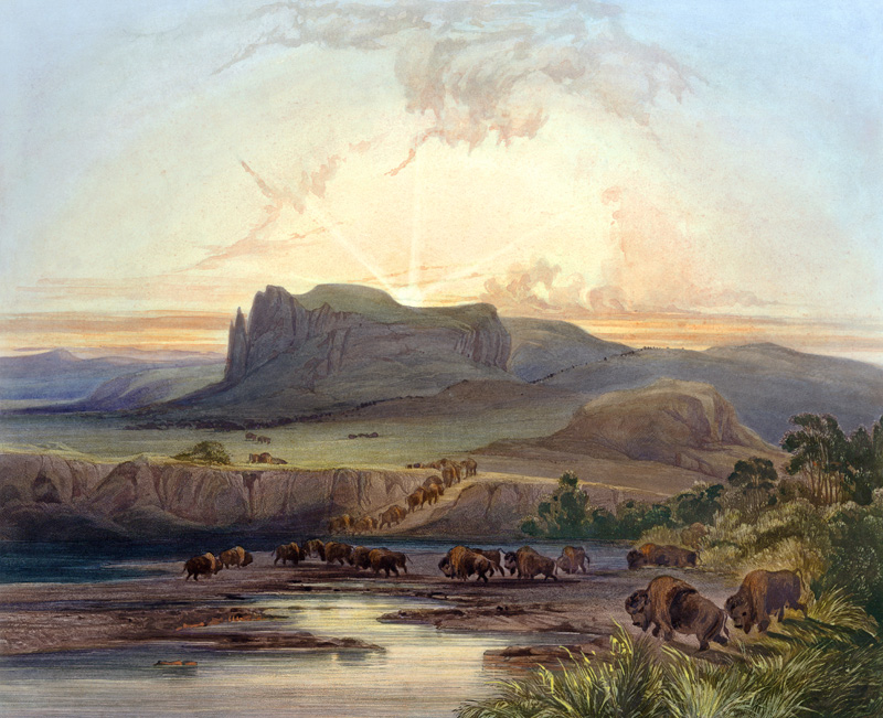 Herd of Bison on the Upper Missouri, plate 40 from Volume 2 of 'Travels in the Interior of North Ame de Karl Bodmer