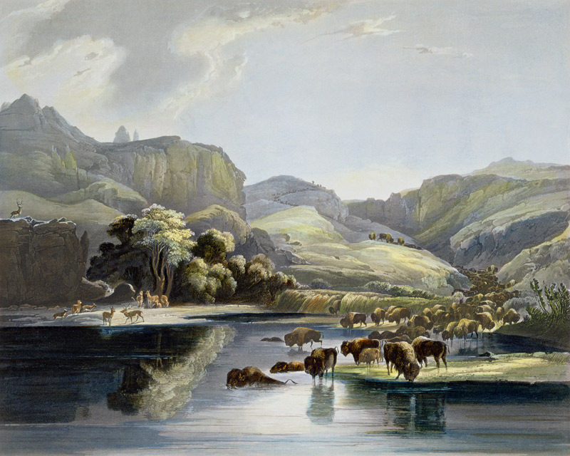 Herds of Bison and Elk on the Upper Missouri, plate 47 from Volume 2 of 'Travels in the Interior of de Karl Bodmer