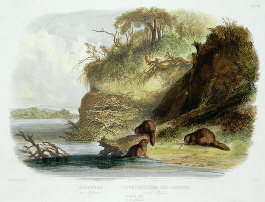Beaver Hut on the Missouri, plate 17 from volume 1 of `Travels in the Interior of North America', en de Karl Bodmer