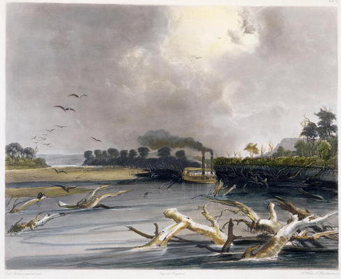 Snags (sunken trees) on the Missouri, plate 6 from Volume 2 of 'Travels in the Interior of North Ame de Karl Bodmer