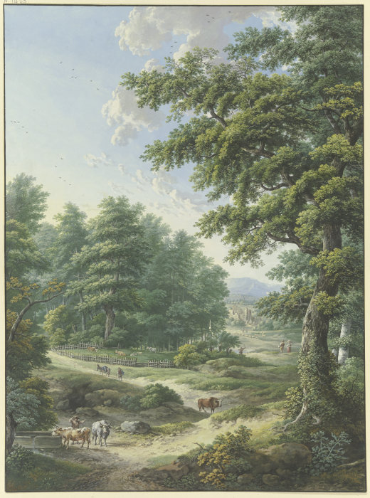 Umzäunter Weideplatz im Wald, im Vordergrund eine Viehtränke de Karl Franz Kraul