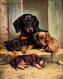 A dachshund family de Karl Reichert