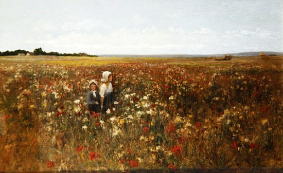 The Poppyfield de Kate Colls