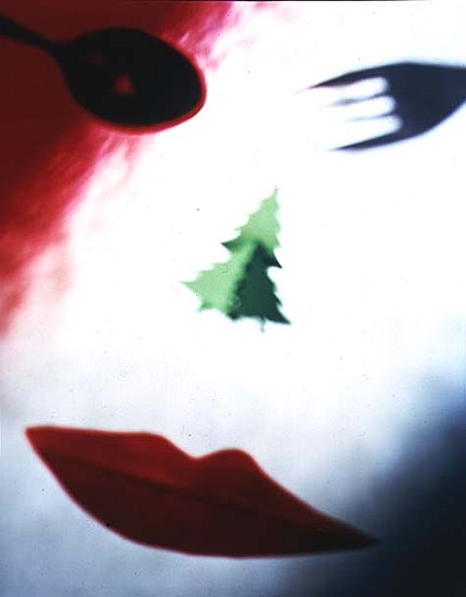 Christmas Face, 1995 (colour photo)  de Katherine  Fawssett