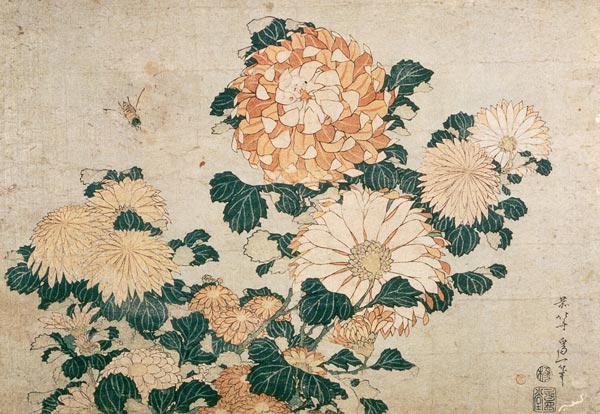 Crisantemo de Katsushika Hokusai