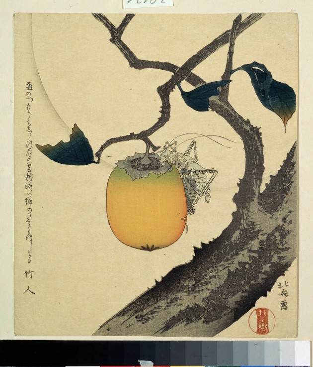 Moon, Persimmon and Grasshopper de Katsushika Hokusai