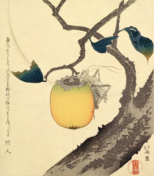 Moon, Persimmon and Grasshopper, 1807 (colour woodcut) de Katsushika Hokusai