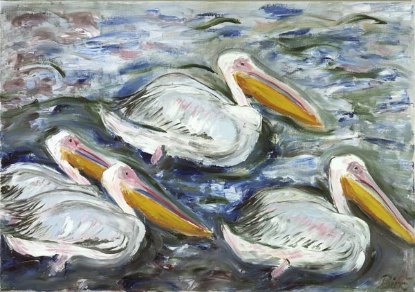 Pelikane de Sabine Katterle
