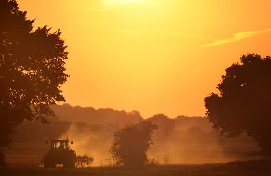 Traktor im Sonnenuntergang de Kay Nietfeld