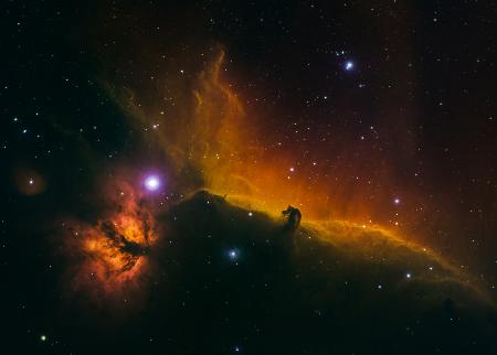 The Horsehead and Flame Nebulae