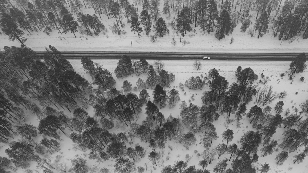 Snowing Forest de Kevin Xu