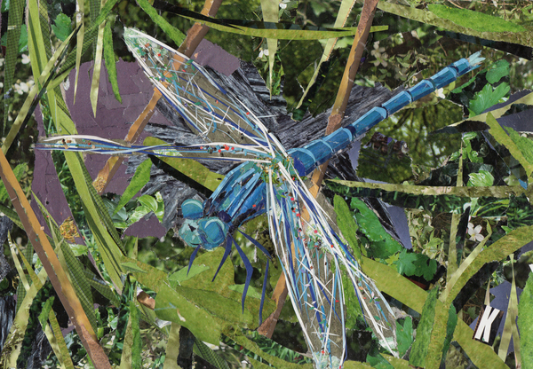 Blue Dragonfly de Kirstie Adamson
