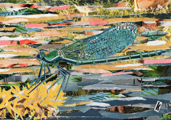 Green Dragonfly de Kirstie Adamson