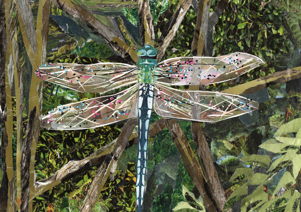 Turquoise Dragonfly de Kirstie Adamson
