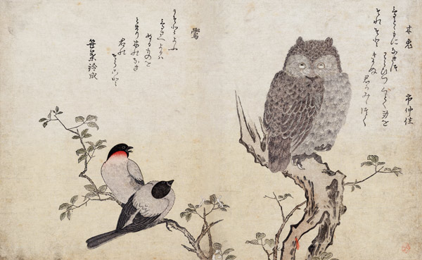 An Owl and two Eastern Bullfinches, from an album 'Birds compared in Humorous Songs, Contest of Poet de Kitagawa  Utamaro