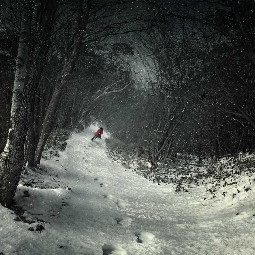 Into the winter forest de Kiyo Murakami