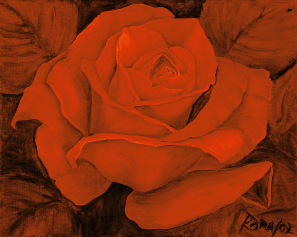 Red Rose Castella de Kora Olbrich
