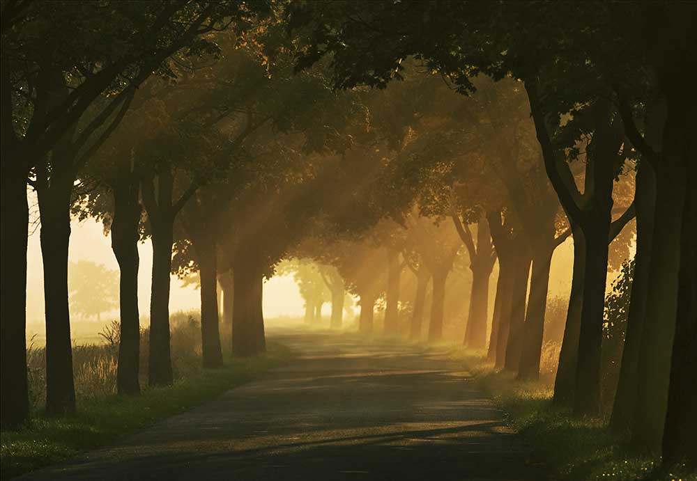 Autumn road... de Krzysztof Browko