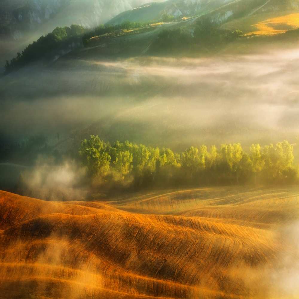 Mist... de Krzysztof Browko