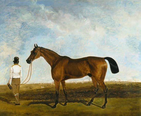 A groom leading a bay racehorse de Lambert Marshall