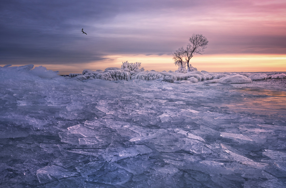 Winter wonderland de Larry Deng