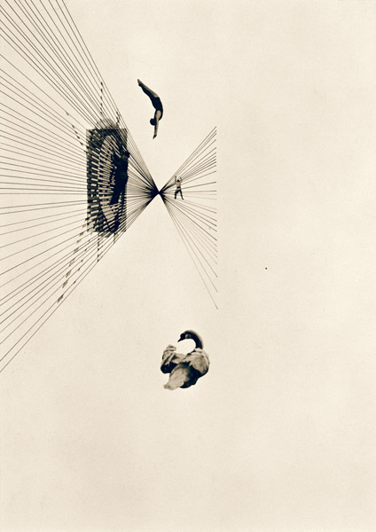 Leda und der Schwan de László Moholy-Nagy