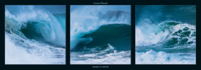 Waves in motion de Laurent Pinsard