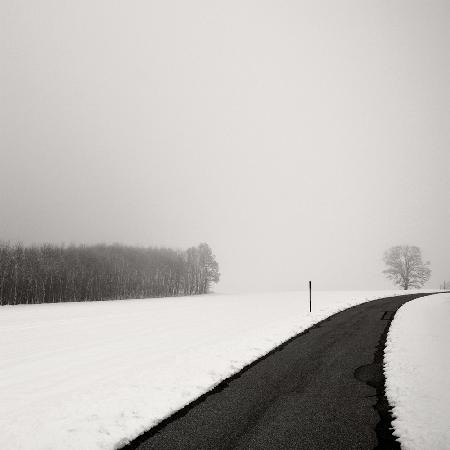 Curve In Snow