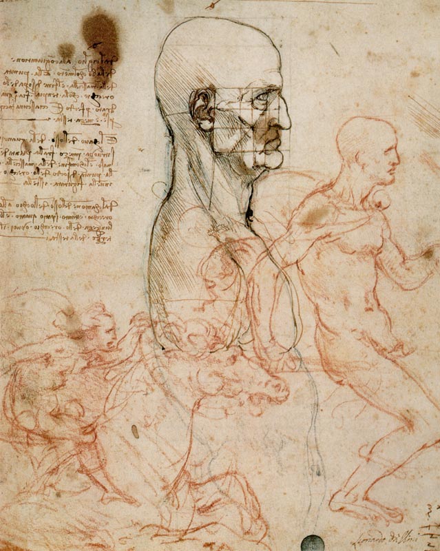 Anatomical studies de Leonardo da Vinci