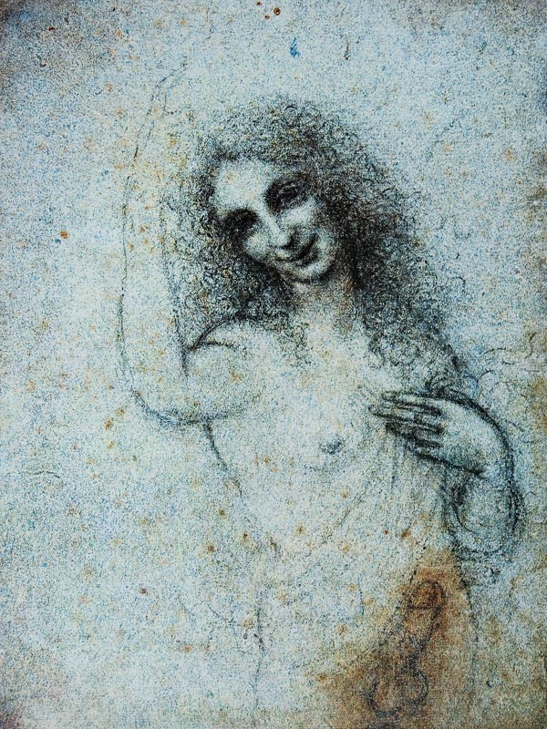 The Angel in the Flesh de Leonardo da Vinci