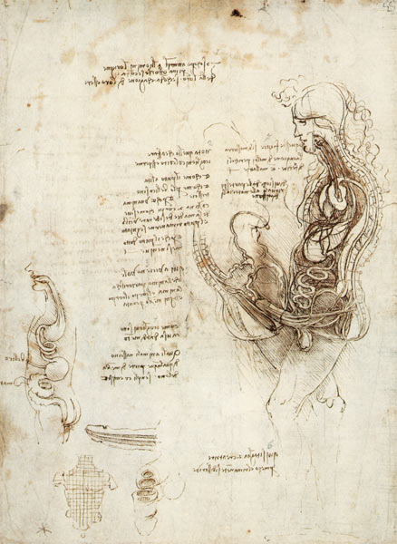Coition of Hemisected Man and Woman, facsimile copy  & de Leonardo da Vinci