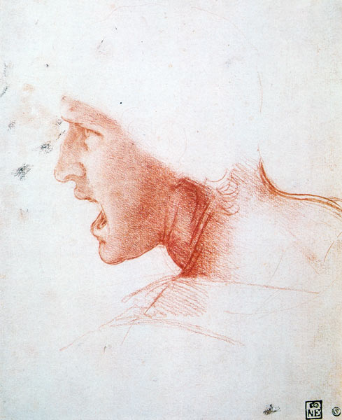 Study of a Warrior's Head for the Battle of Anghiari de Leonardo da Vinci