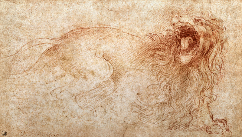 Sketch of a roaring lion de Leonardo da Vinci