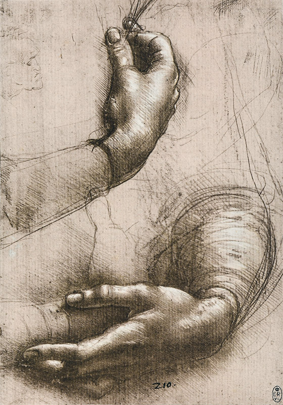 Studie der Hände einer Frau de Leonardo da Vinci