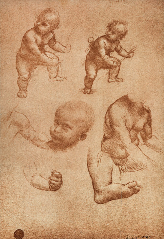Study for a Portrait of a Child de Leonardo da Vinci