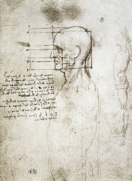 Head of an Old Man in Profile, facsimile copy  and de Leonardo da Vinci