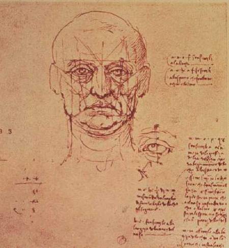 Drawing of the proportions of the head and eye de Leonardo da Vinci