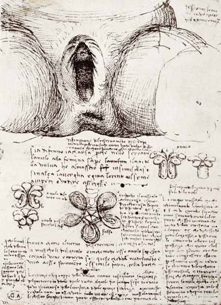 The Female Sexual Organs, facsimile copy  & de Leonardo da Vinci